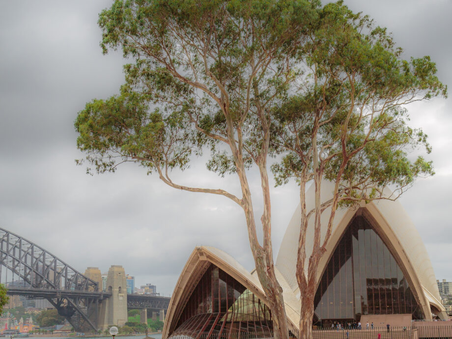 Opera House [Sydney]