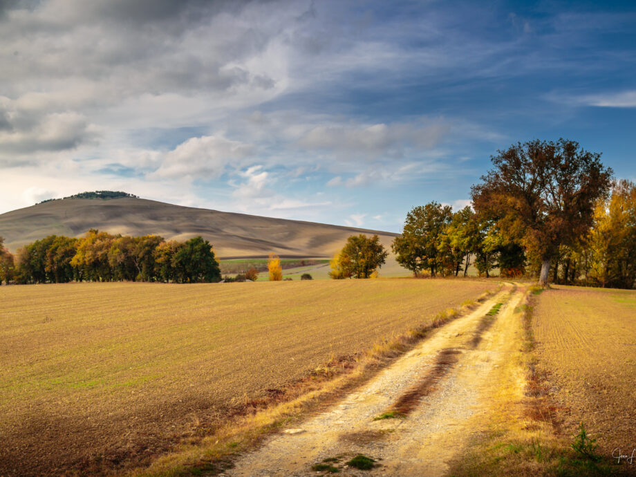 Val d'Orcia [Toscane]
