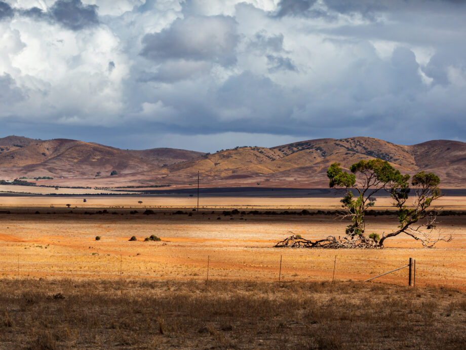 road to Hawker [Flinders]