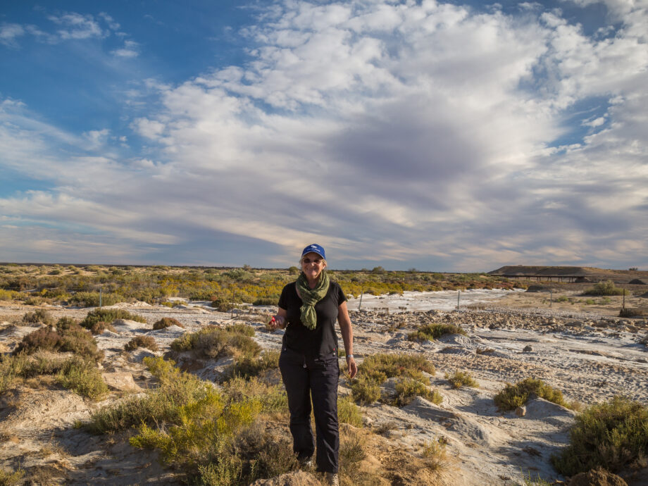 Oodnadatta track