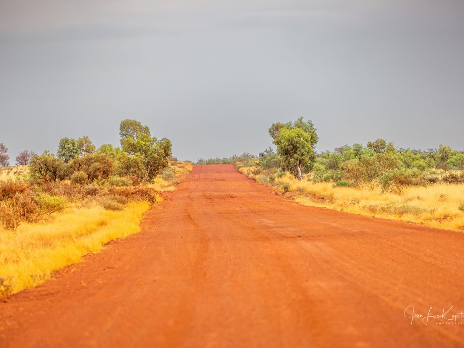 Tanami track