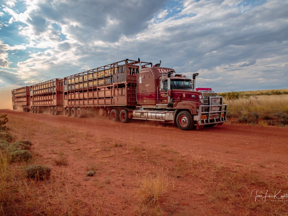 road train [Tanami track]