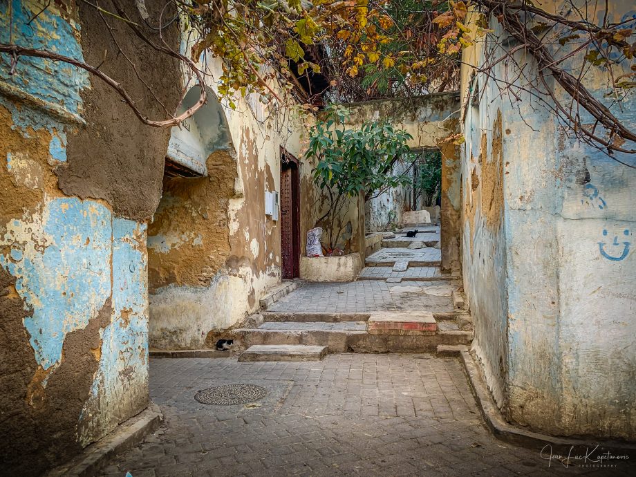 Médina - Fez