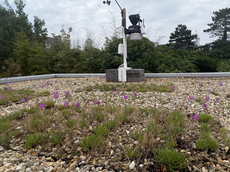 Observations Météo avec la station Vantage Pro 2