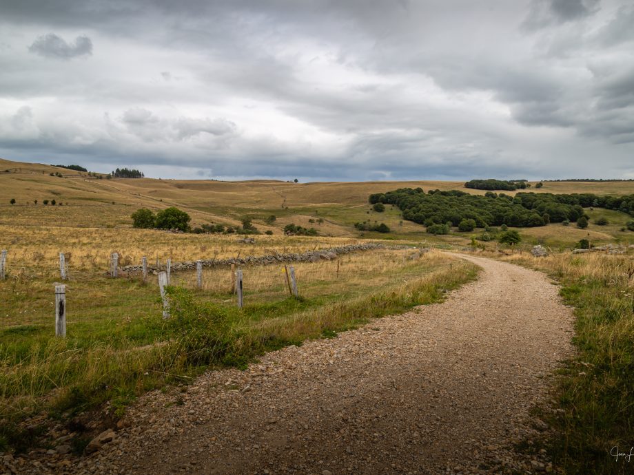 Aubrac