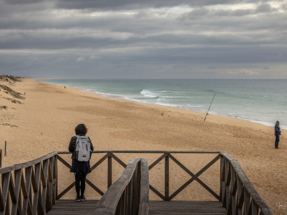plage d'Algarve [Portugal]