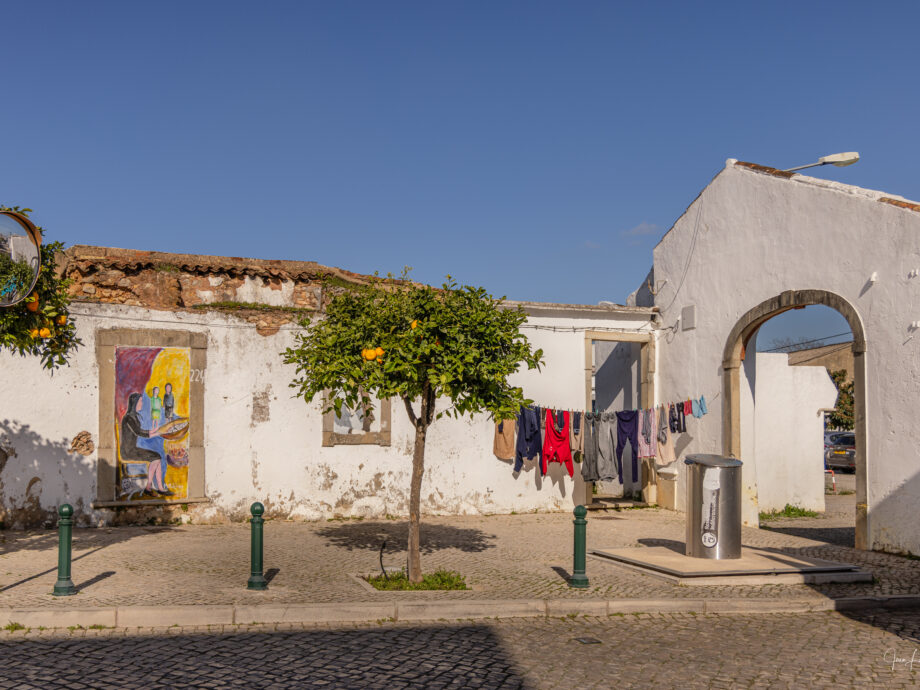 orangers au village [Portugal]