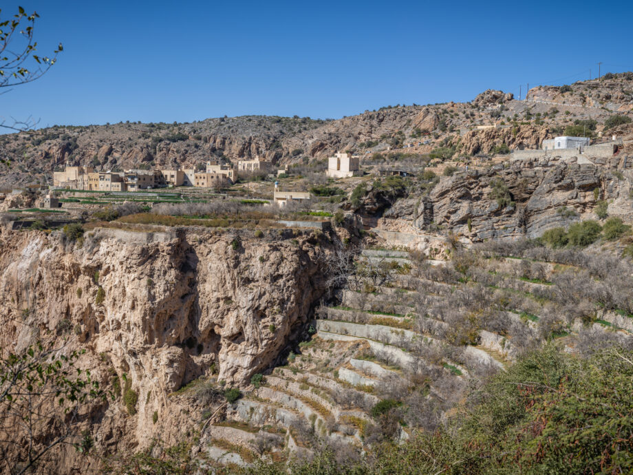 terrasses - djebel Akhdar [monts Hajar]