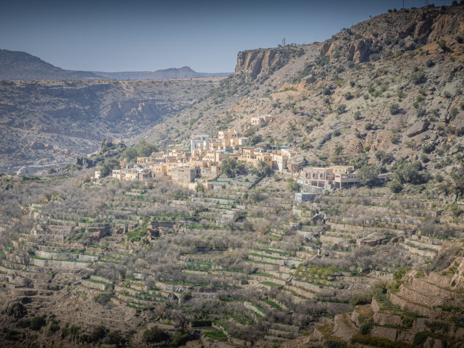 terrasses - djebel Akhdar [monts Hajar]