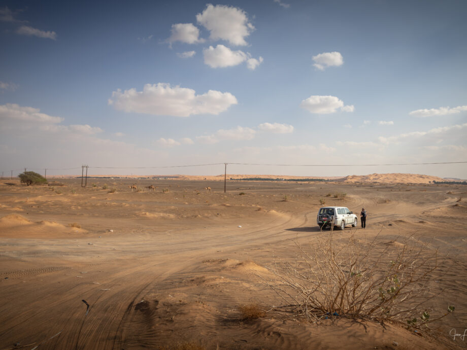 vers les sables [Wahiba Sands]
