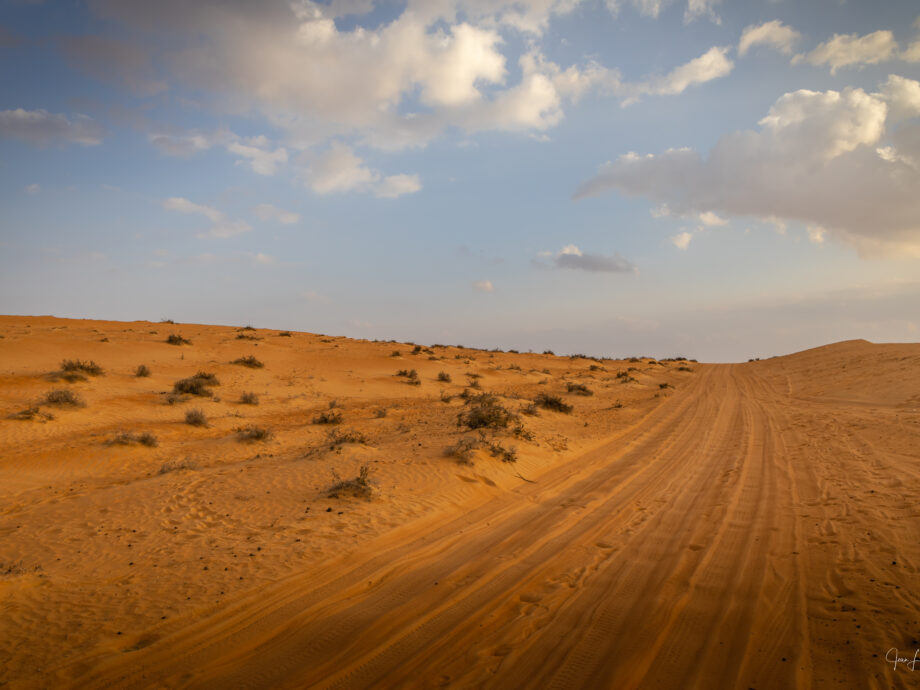 la piste  [Wahiba Sands]