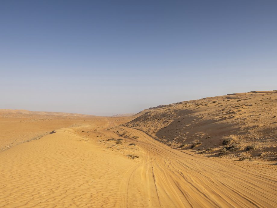 dans les sables  [Wahiba Sands, Oman]
