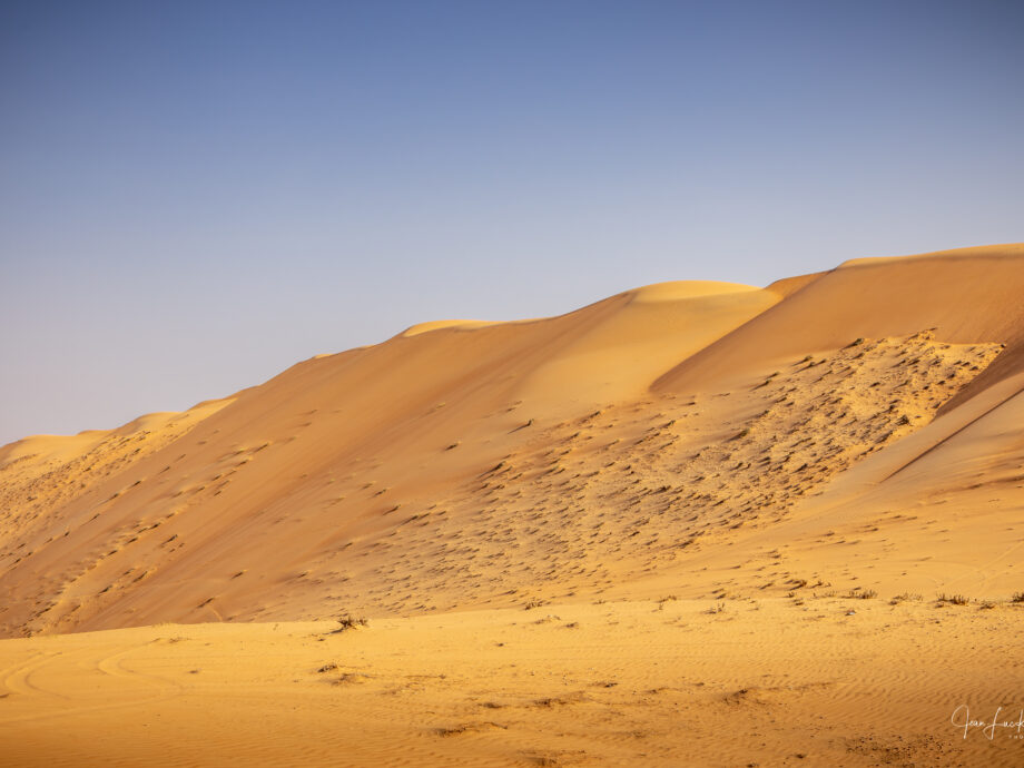 dans les sables [Wahiba Sands]