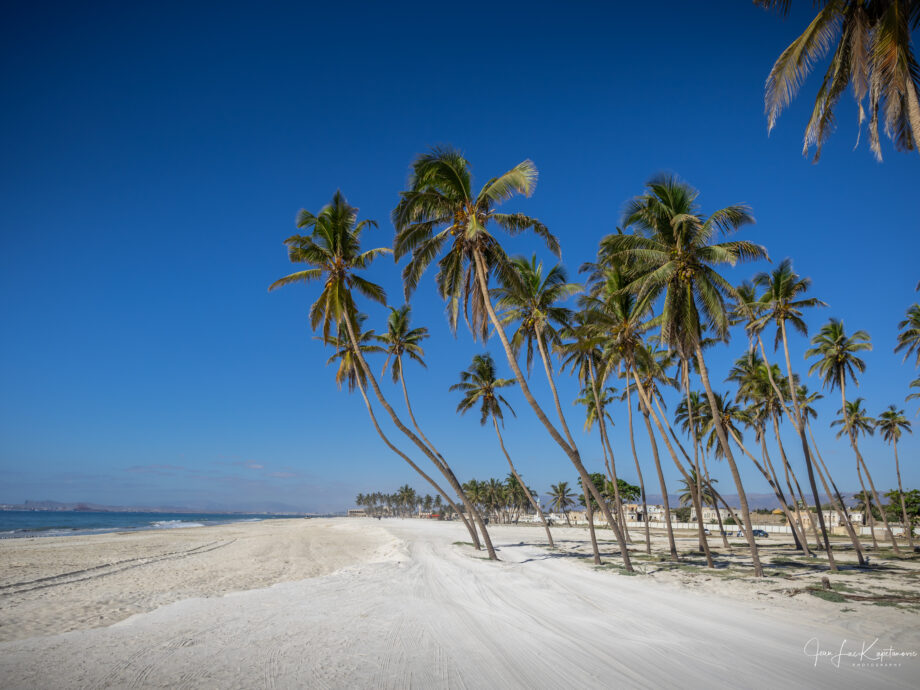 la plage et cocotiers [Salalah]