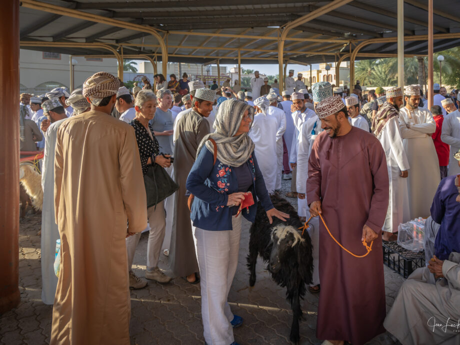 Souk des bestiaux [Nizwa]