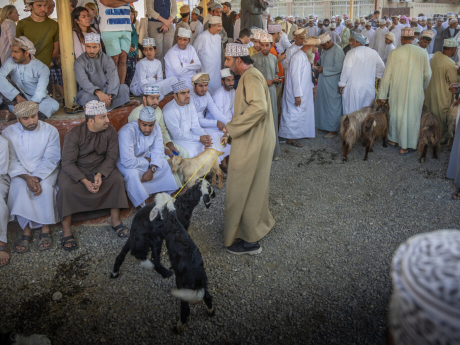 Souk des bestiaux [Nizwa]