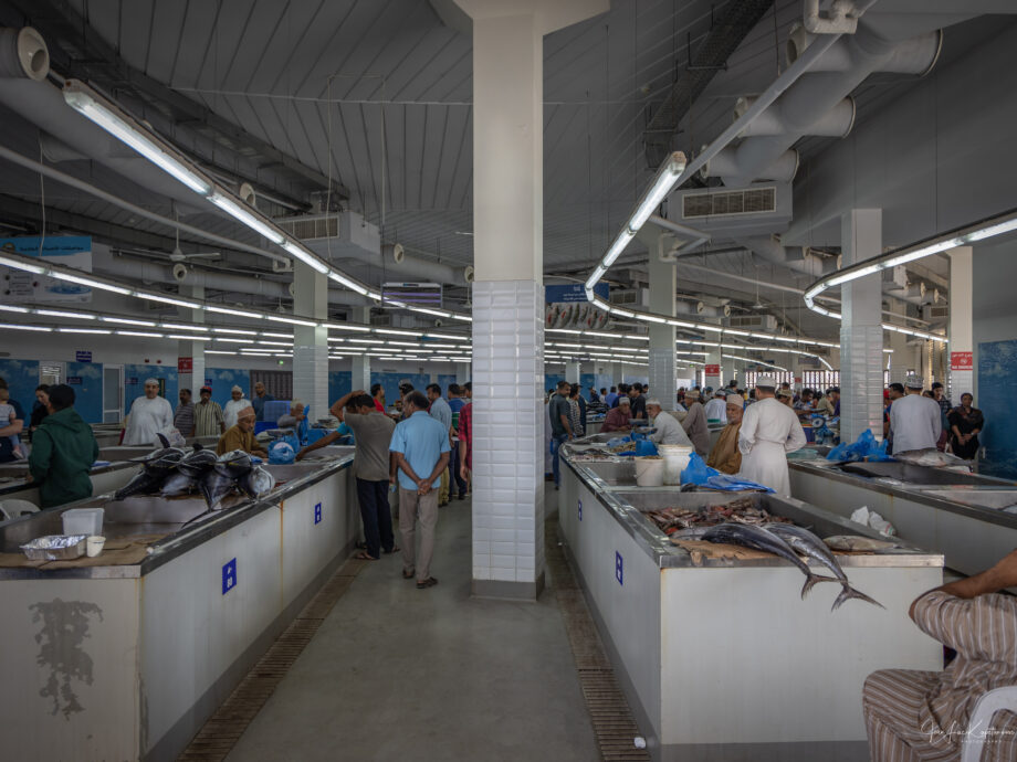 Marché aux poissons [Mascate]