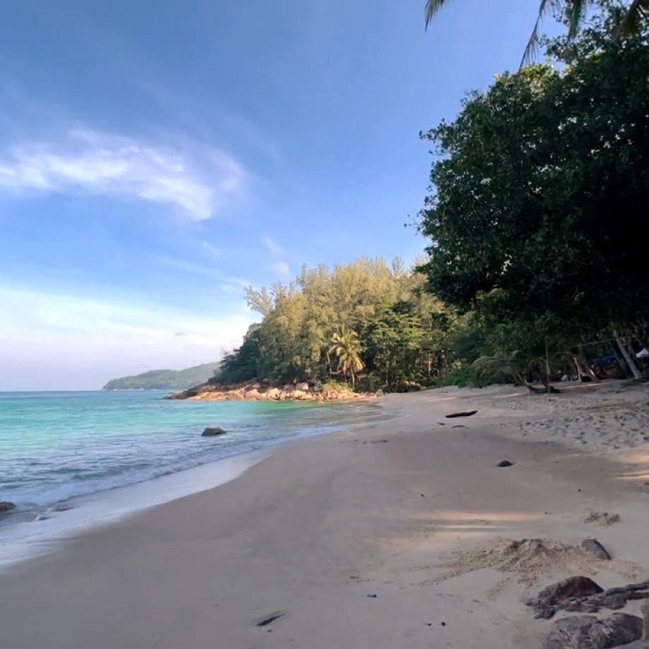 Banana Beach, sable et forêt