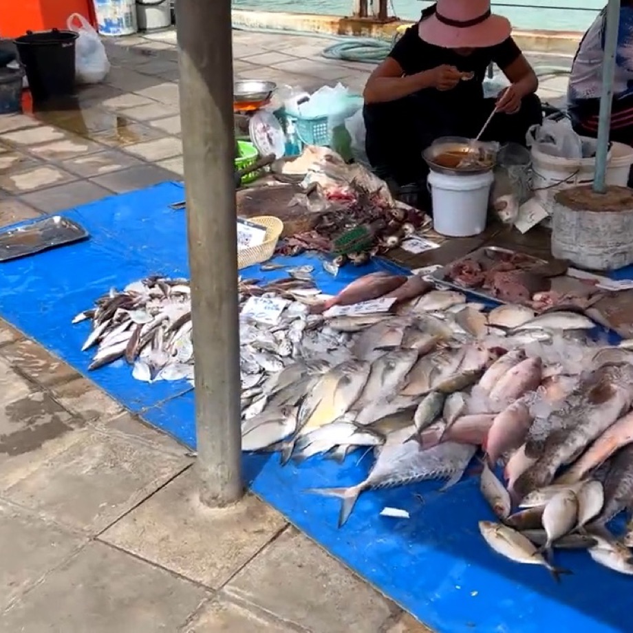 Les poissons étalés à même le sol