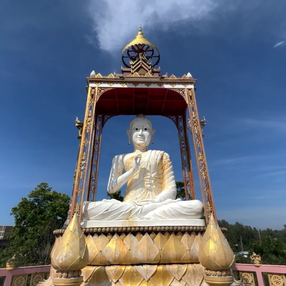 Le petit bouddha blanc aux yeux noirs