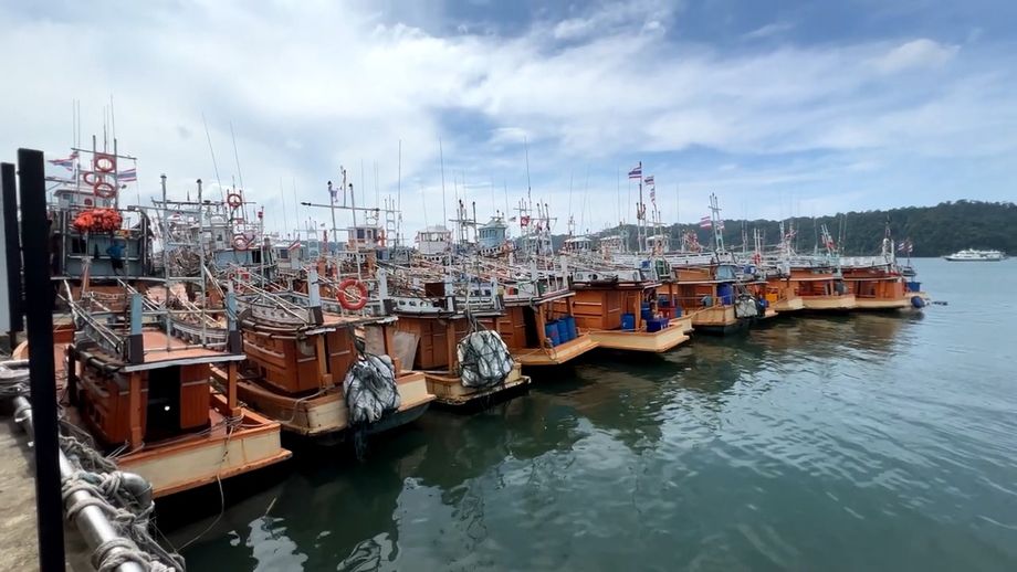 Les bateaux de pêche, serrés le long du quai
